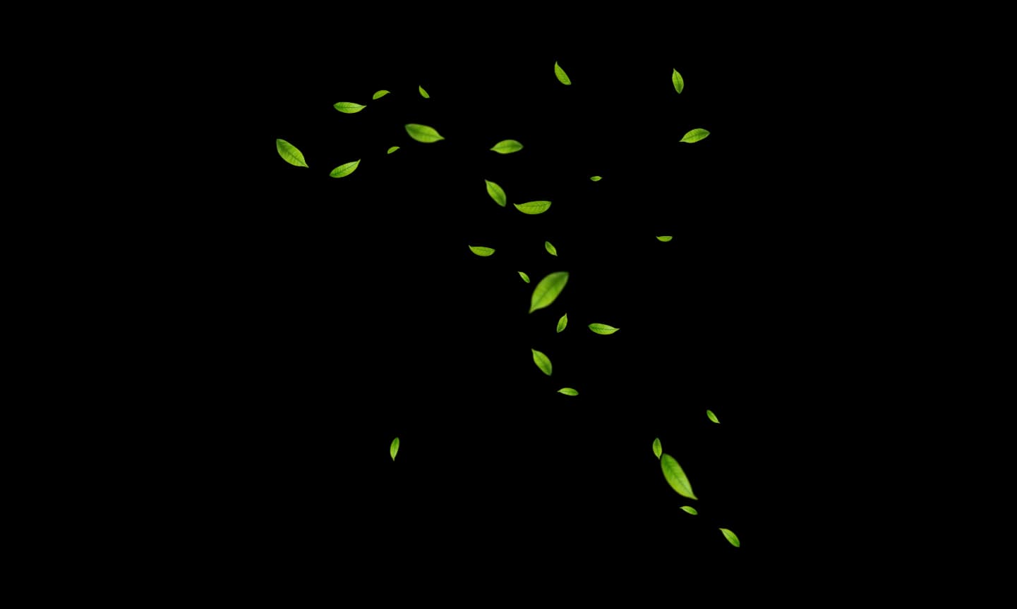 Leafs Image