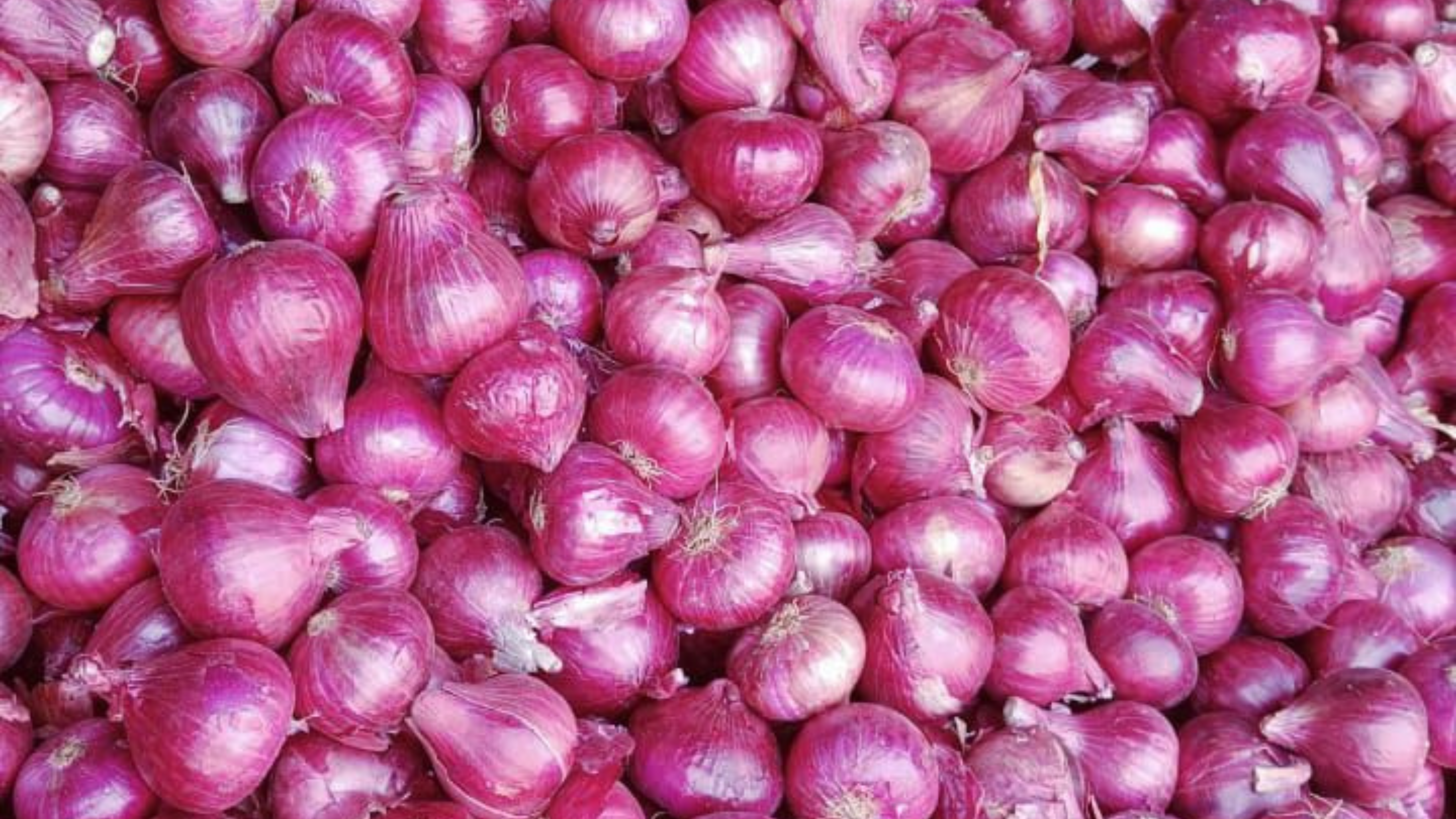 Red Onions