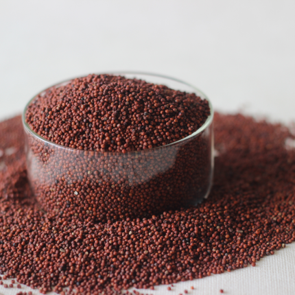 Finger Millet