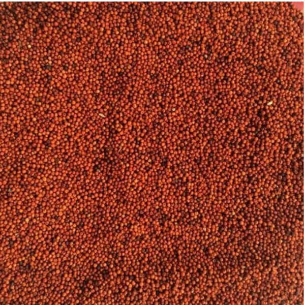 Finger Millet Export