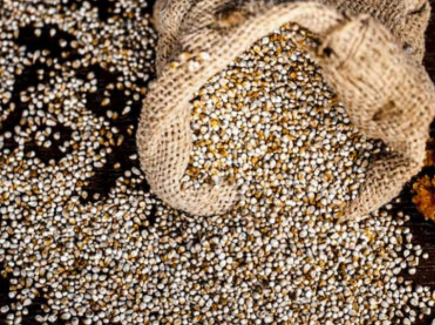 Pearl Millet