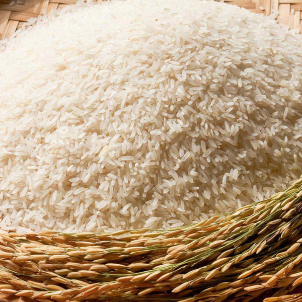 Non Basmati Rice