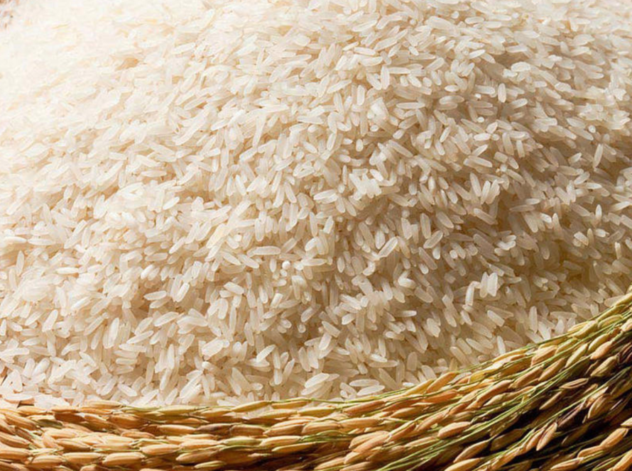 Non Basmati Rice